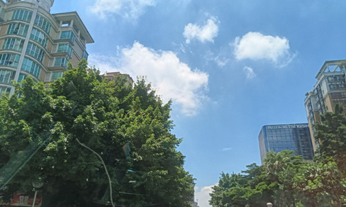 2024瓷砖胶十大品牌有哪些?您知道哪些瓷砖胶品牌? 2024瓷砖胶十大品牌有哪些?您知道哪些瓷砖胶品牌?